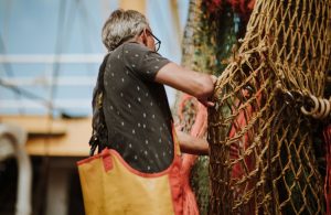 European Bottom Fisheries Alliance (EBFA)