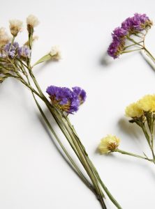 Fotografía de producto